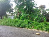 Lambs River, Westmoreland, Jamaica - Residential lot for Sale